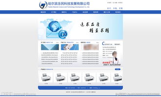 科技發(fā)展公司網(wǎng)站 網(wǎng)絡(luò)技術(shù)開(kāi)發(fā)的視覺(jué)呈現(xiàn)